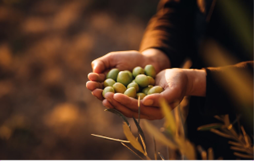 main avec des olives